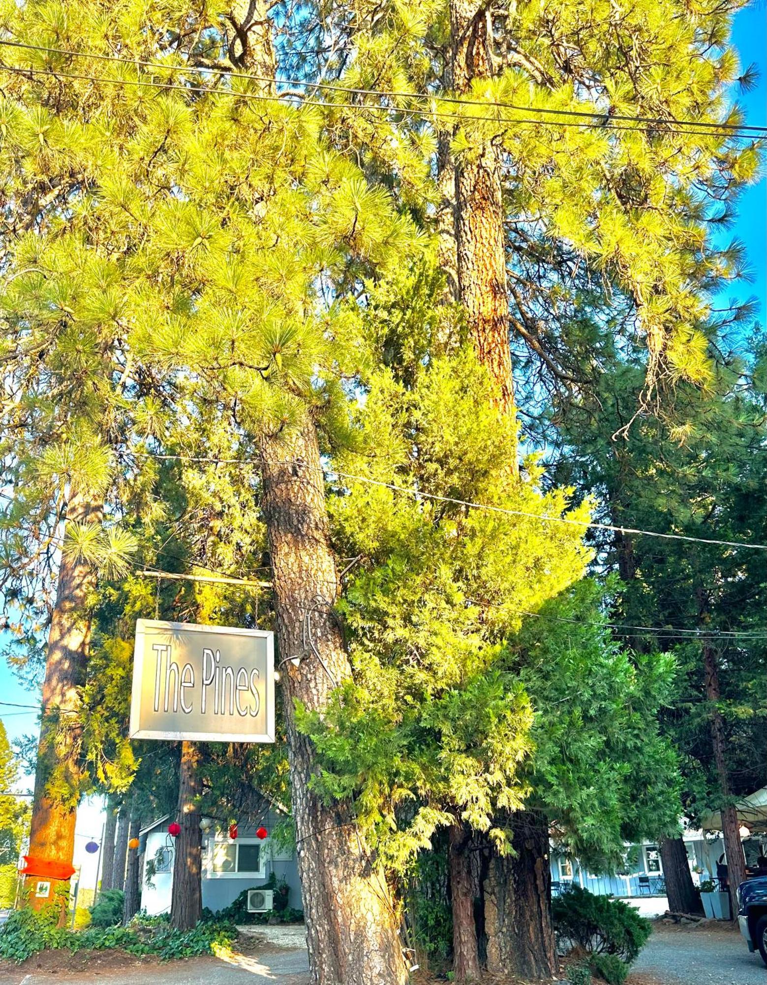 The Pines Inn And Cottages Ґрасс-Валлі Екстер'єр фото